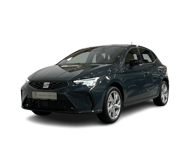 Seat Ibiza Langzeitmiete